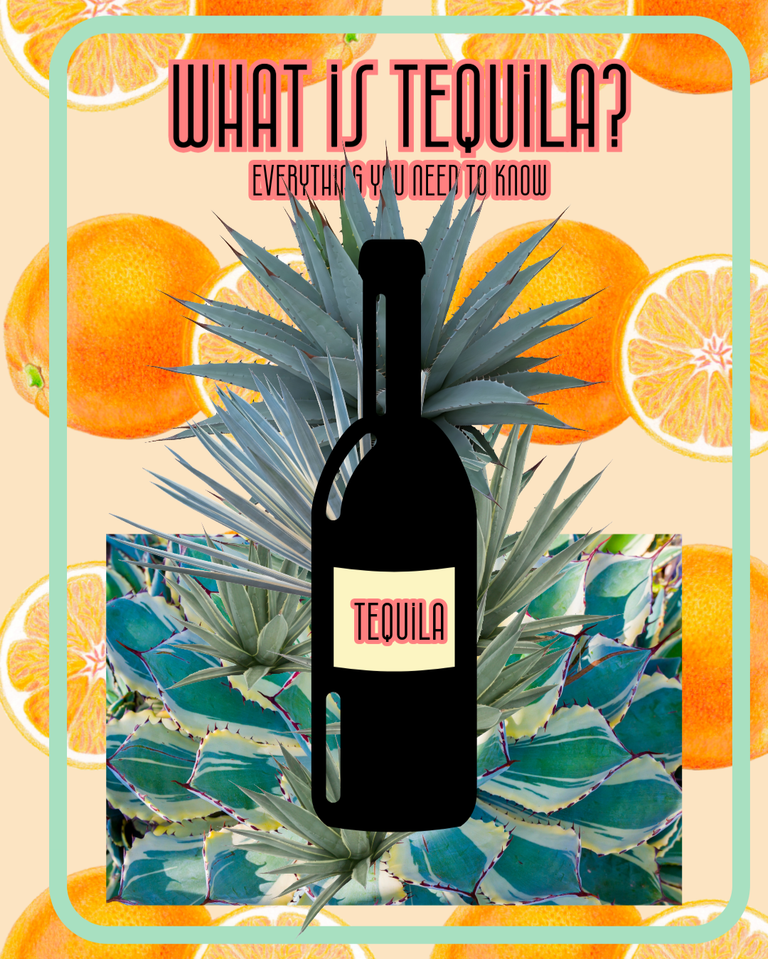 What is Tequila? Everything you need to know