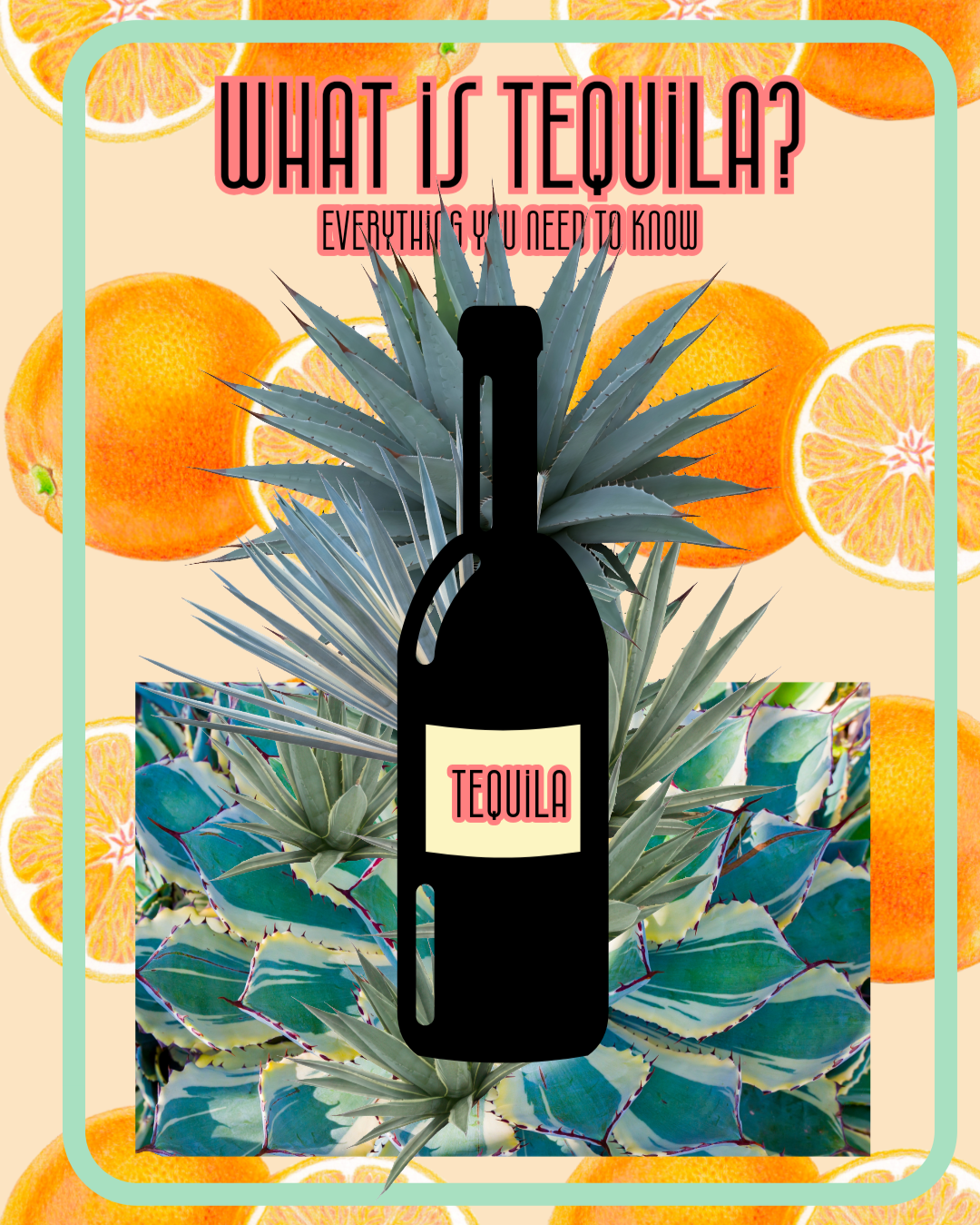 What is Tequila? Everything you need to know